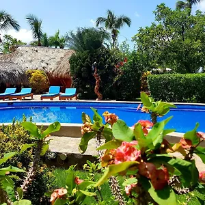 Bed & Breakfast Solazul, Las Galeras